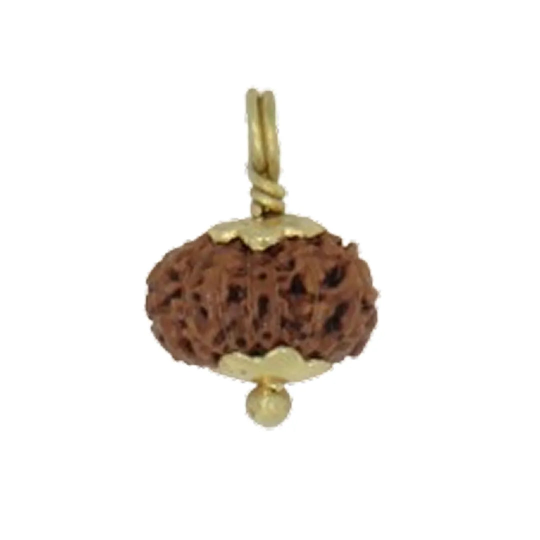 Original 14 Mukhi Rudraksha Java – Devmani Intuition & Divine Protection Bead (Without Cap / Golden Cap / White Cap)