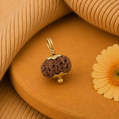 Original 14 Mukhi Rudraksha Java – Devmani Intuition & Divine Protection Bead (Without Cap / Golden Cap / White Cap)