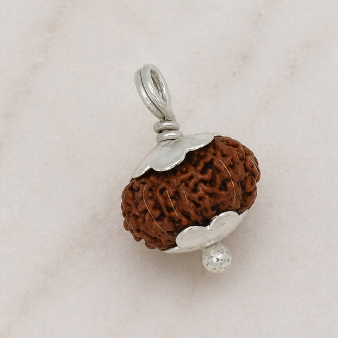 Original 14 Mukhi Rudraksha Java – Devmani Intuition & Divine Protection Bead (Without Cap / Golden Cap / White Cap)