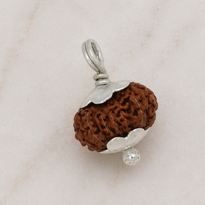Original 14 Mukhi Rudraksha Java – Devmani Intuition & Divine Protection Bead (Without Cap / Golden Cap / White Cap)