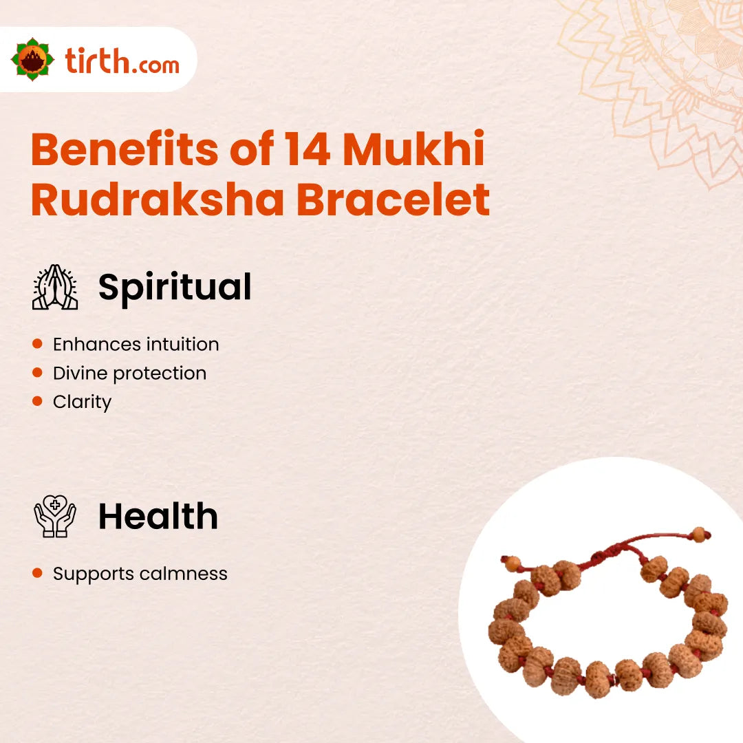 14 Mukhi Rudraksha Bracelet (Java 1pcs bead) – Divine Protection Bracelet