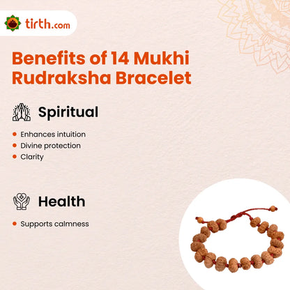 14 Mukhi Rudraksha Bracelet (Java 1pcs bead) – Divine Protection Bracelet