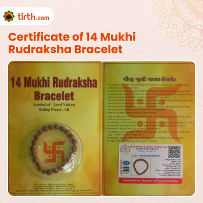 Original 14 Mukhi Rudraksha Bracelet (Java 1 Bead) – Natural 14 Face Rudraksha Wrist Bracelet for Intuition, Protection & Spiritual Awakening