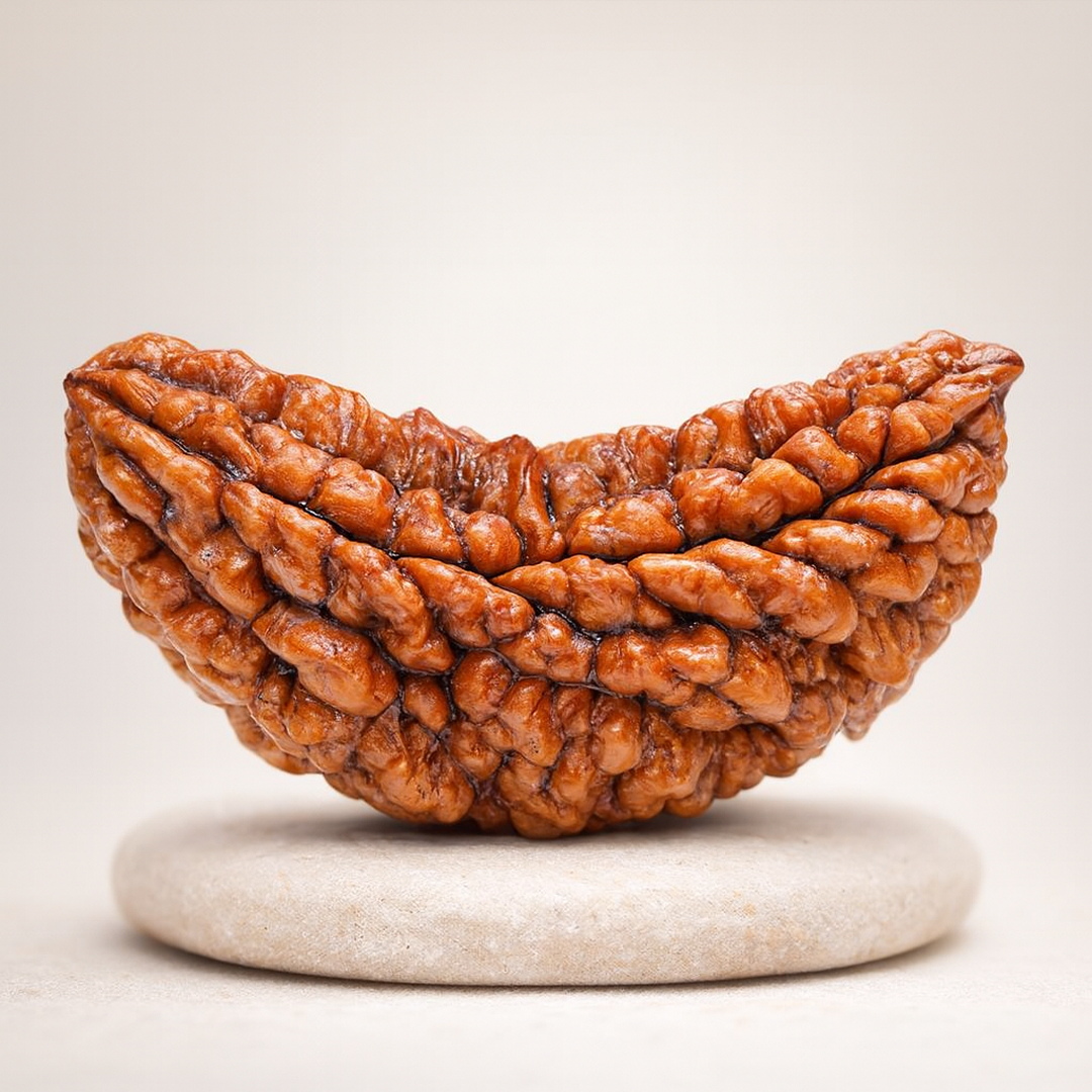 Tirth 1 Mukhi Rudraksha – Divine Ek Mukhi Power Bead for Spiritual Awakening