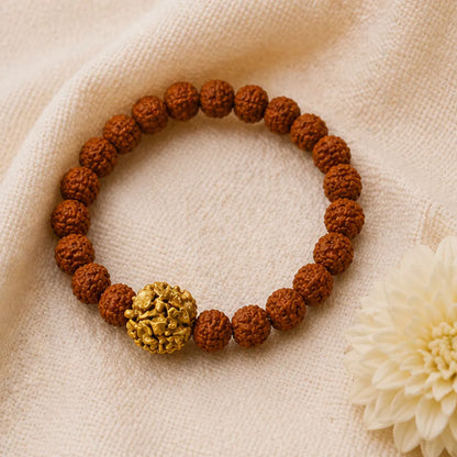 2 Mukhi Rudraksha Bracelet (All Java Beads) – Natural Nepali Style 2 Face Rudraksha Wrist Bracelet for Harmony & Relationship Balance