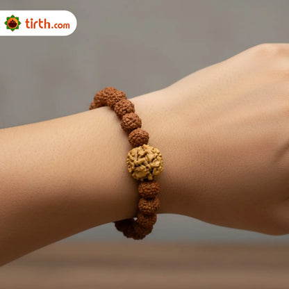 2 Mukhi Rudraksha Bracelet (All Java Beads) – Natural Nepali Style 2 Face Rudraksha Wrist Bracelet for Harmony & Relationship Balance