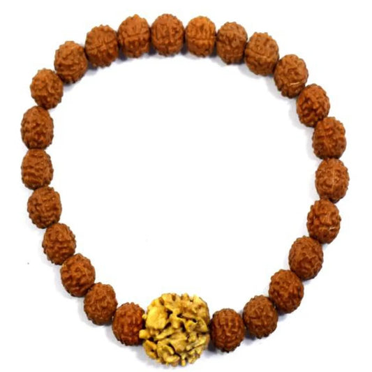Original 2 Mukhi Rudraksha Bracelet (All Java Beads) – Natural Nepali Style 2 Face Rudraksha Wrist Bracelet for Harmony & Relationship Balance