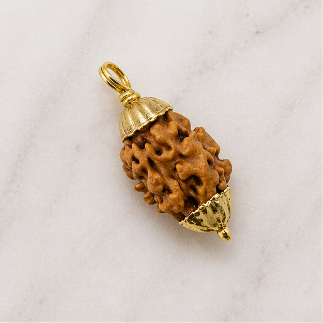 Original 2 Mukhi Rudraksha Himalayan – Divine Harmony Bead (Without Cap / Golden Cap / White Cap)