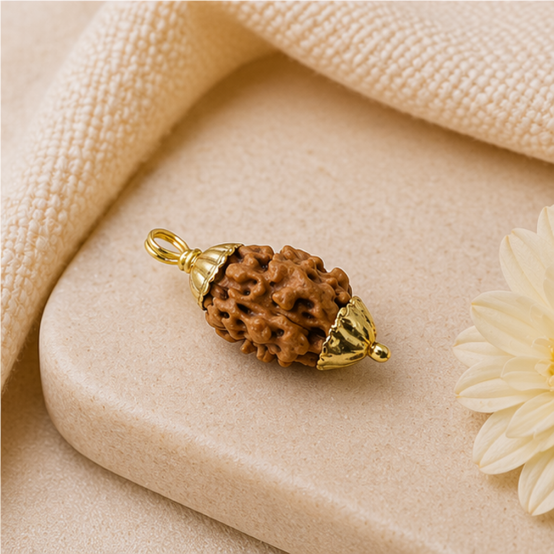 Original 2 Mukhi Rudraksha Himalayan – Divine Harmony Bead (Without Cap / Golden Cap / White Cap)