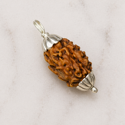 Original 2 Mukhi Rudraksha Himalayan – Divine Harmony Bead (Without Cap / Golden Cap / White Cap)