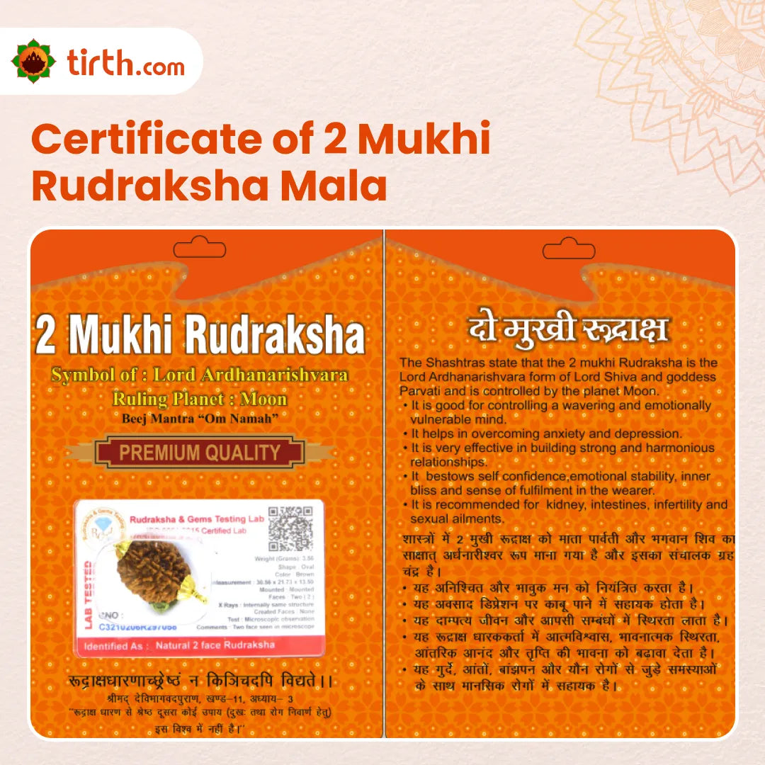 2 Mukhi Java Rudraksha Mala – Harmony Mala