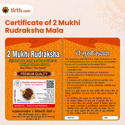 2 Mukhi Rudraksha Mala (Java) – Natural Do Mukhi Rudraksha Mala for Harmony, Relationships & Emotional Balance
