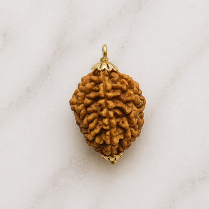 Original 2 Mukhi Rudraksha South Indian – Sacred Harmony Bead (Without Cap / Golden Cap / White Cap)