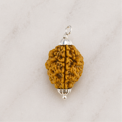 Original 2 Mukhi Rudraksha South Indian – Sacred Harmony Bead (Without Cap / Golden Cap / White Cap)
