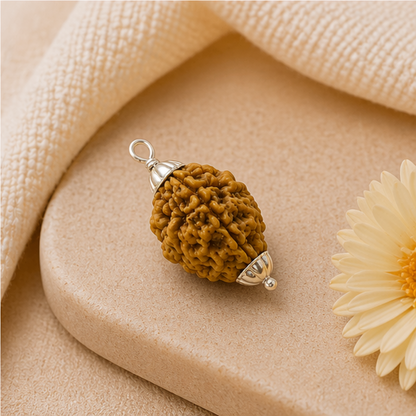 Original 2 Mukhi Rudraksha South Indian – Sacred Harmony Bead (Without Cap / Golden Cap / White Cap)