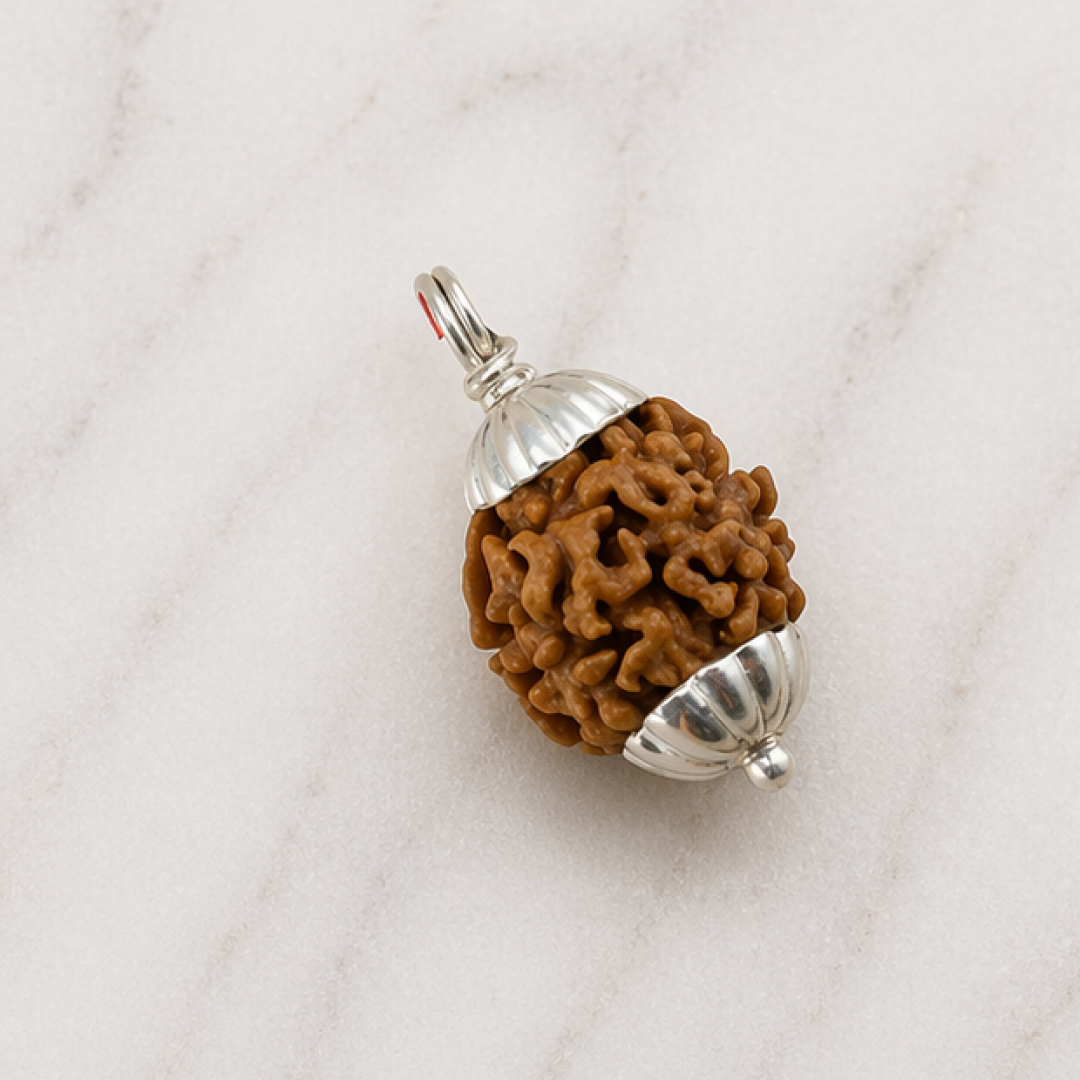 Original 3 Mukhi Rudraksha Himalayan – Agni Shakti Transformation Bead (Without Cap / Golden Cap / White Cap)