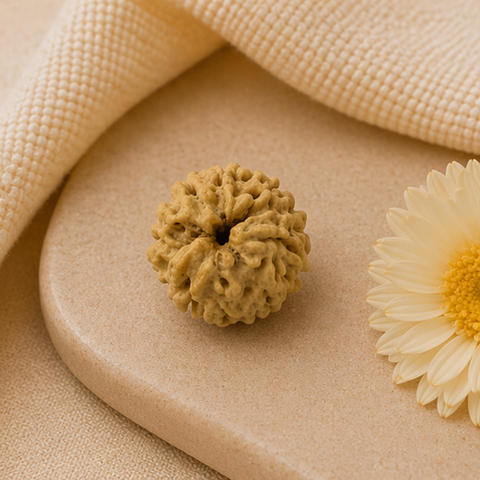 Original 3 Mukhi Rudraksha Himalayan – Agni Shakti Transformation Bead (Without Cap / Golden Cap / White Cap)