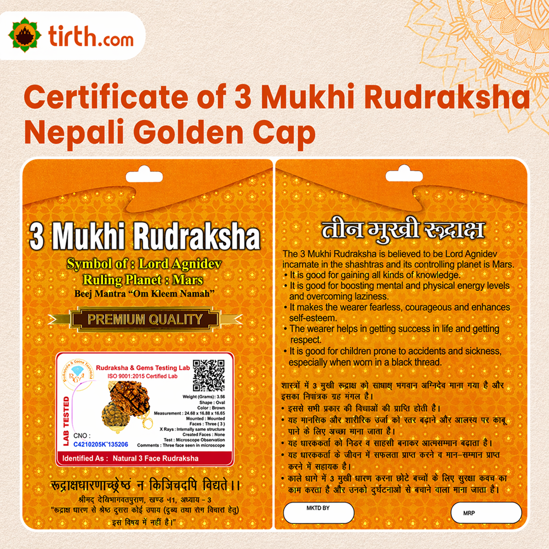 Original 3 Mukhi Rudraksha Nepali – Agni Shakti Power Bead (Without Cap / Golden Cap / White Cap)