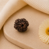 Original 3 Mukhi Rudraksha Nepali – Agni Shakti Power Bead (Without Cap / Golden Cap / White Cap)