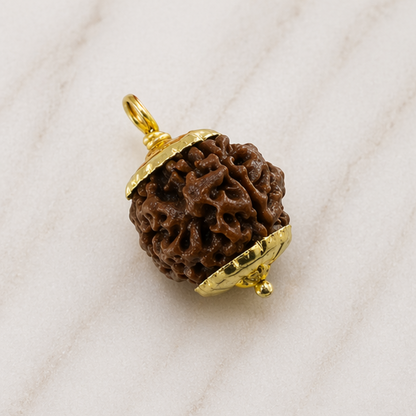 Original 4 Mukhi Rudraksha Nepali – Knowledge & Intellect Bead (Without Cap / Golden Cap / White Cap)