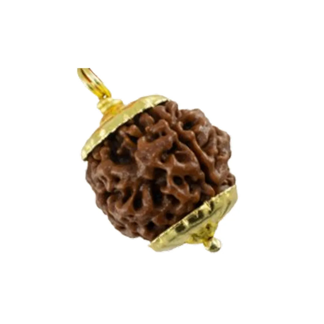 Original 4 Mukhi Rudraksha Nepali – Wisdom & Knowledge Bead (Without Cap / Golden Cap / White Cap)