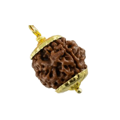 Original 4 Mukhi Rudraksha Nepali – Wisdom & Knowledge Bead (Without Cap / Golden Cap / White Cap)