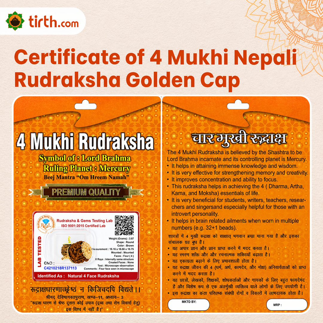 Original 4 Mukhi Rudraksha Nepali – Knowledge & Intellect Bead (Without Cap / Golden Cap / White Cap)