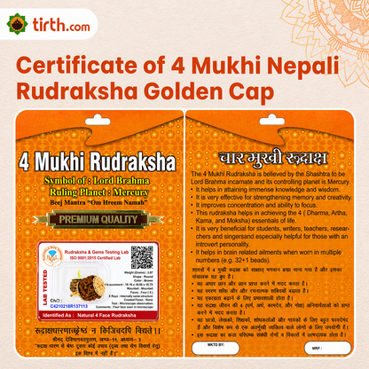 Original 4 Mukhi Rudraksha Nepali – Knowledge & Intellect Bead (Without Cap / Golden Cap / White Cap)