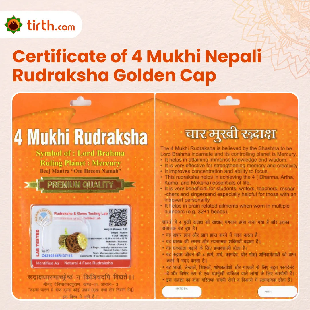 Original 4 Mukhi Rudraksha Nepali – Wisdom & Knowledge Bead (Without Cap / Golden Cap / White Cap)