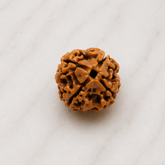 Original 4 Mukhi Rudraksha Nepali – Knowledge & Intellect Bead (Without Cap / Golden Cap / White Cap)