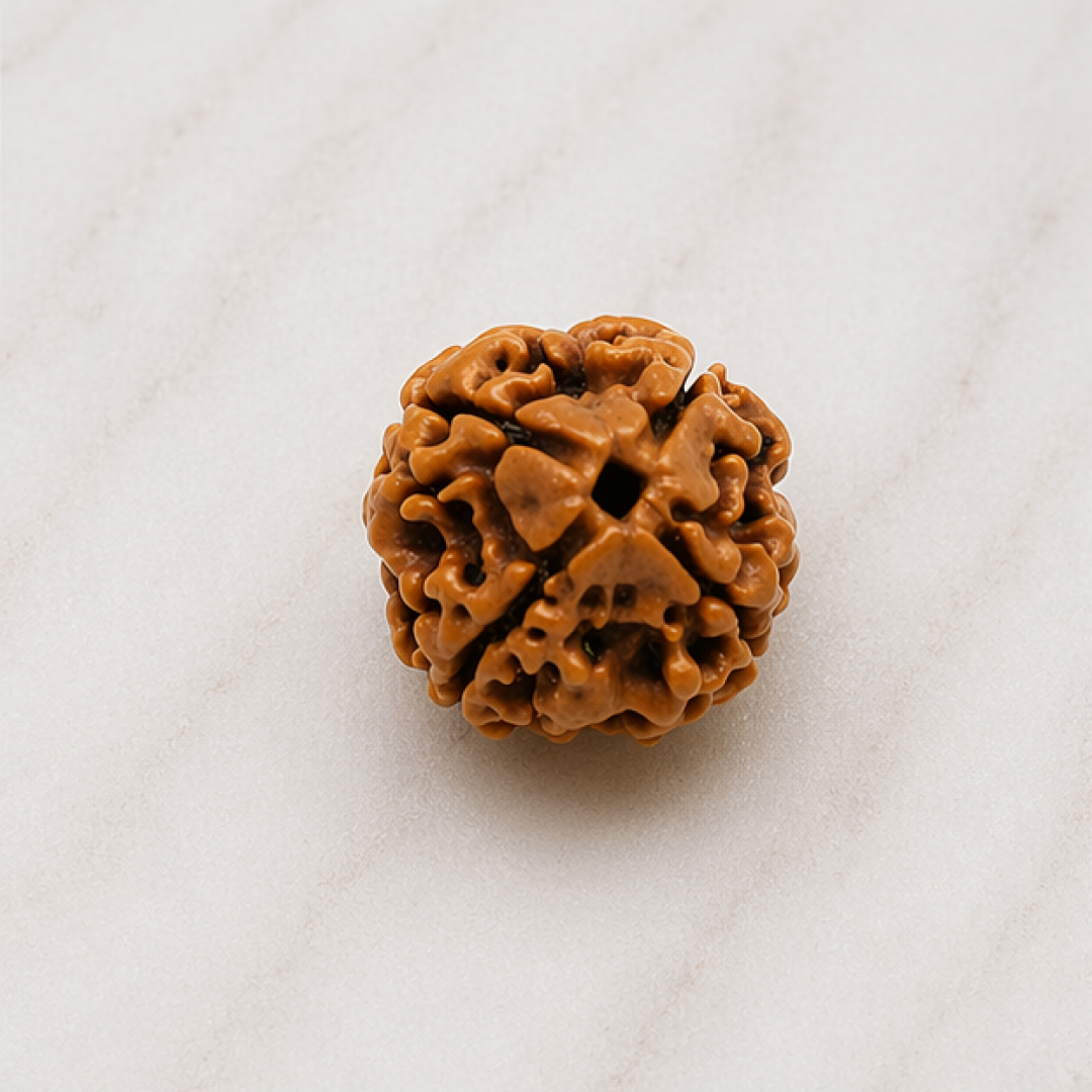 Original 4 Mukhi Rudraksha Nepali – Knowledge & Intellect Bead (Without Cap / Golden Cap / White Cap)