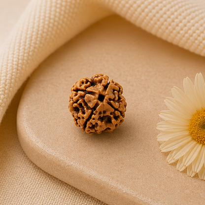 Original 4 Mukhi Rudraksha Nepali – Knowledge & Intellect Bead (Without Cap / Golden Cap / White Cap)