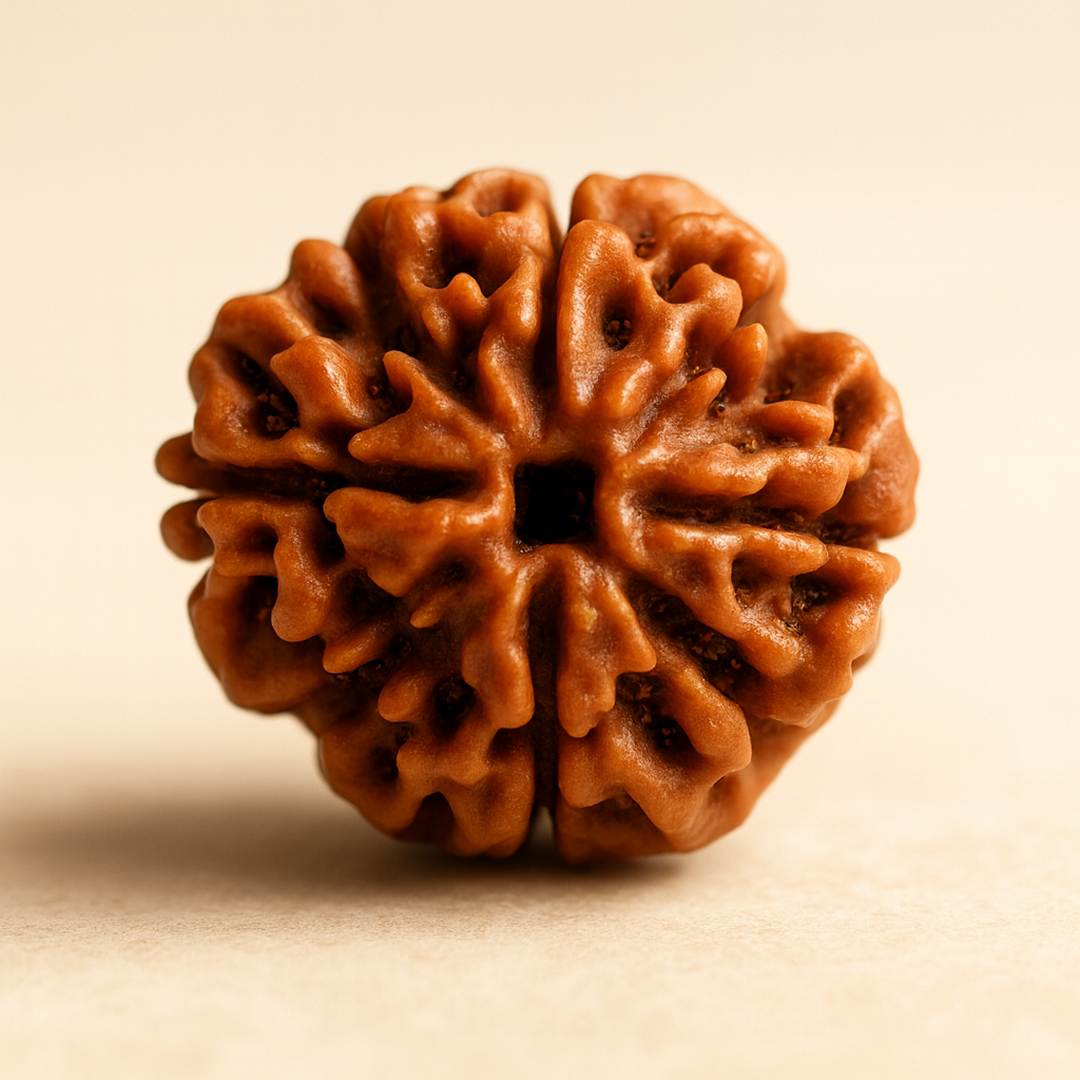 Tirth 4 Mukhi Rudraksha – Knowledge, Memory & Creativity Enhancer | Brahma Divine Wisdom Bead