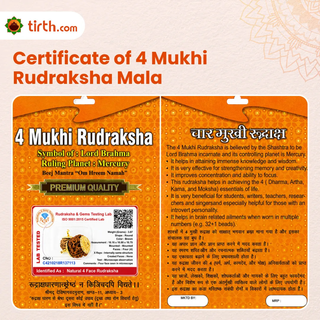 4 Mukhi Rudraksha Mala (Java) – Natural Chaar Mukhi Rudraksha Mala for Knowledge, Communication & Mental Clarity