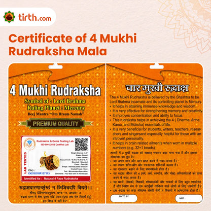 4 Mukhi Rudraksha Mala (Java) – Natural Chaar Mukhi Rudraksha Mala for Knowledge, Communication & Mental Clarity
