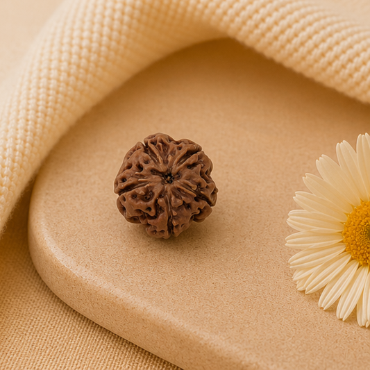 Original 5 Mukhi Rudraksha Java Without Cap – Kalagni Rudra Peace & Protection Bead