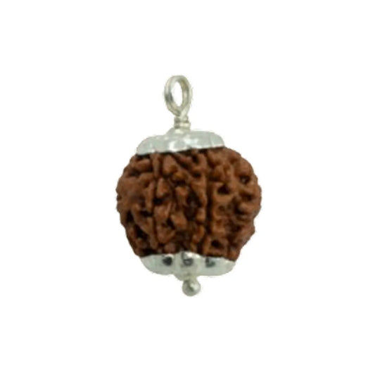 Original 5 Mukhi Rudraksha Nepali – Kalagni Rudra Protection & Peace Bead (Without Cap / Golden Cap / White Cap)