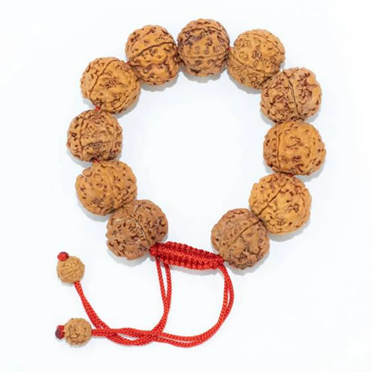 5 Mukhi Rudraksha Bracelet (All Beads Java) – Peace Bracelet