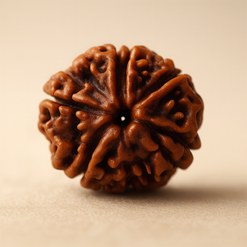 Tirth 5 Mukhi Rudraksha – Peace, Protection & Health Balance | Kalagni Rudra Sacred Bead
