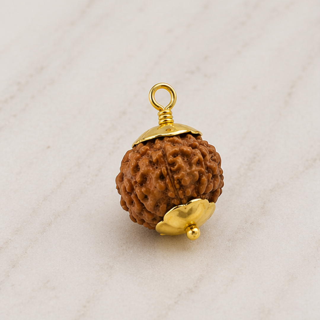Original 6 Mukhi Rudraksha Nepali – Kartikeya Focus & Discipline Bead (Without Cap / Golden Cap / White Cap)