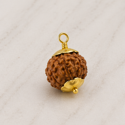 Original 6 Mukhi Rudraksha Nepali – Kartikeya Focus & Discipline Bead (Without Cap / Golden Cap / White Cap)