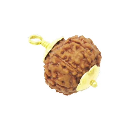Original 6 Mukhi Rudraksha Nepali – Kartikeya Focus & Discipline Bead (Without Cap / Golden Cap / White Cap)