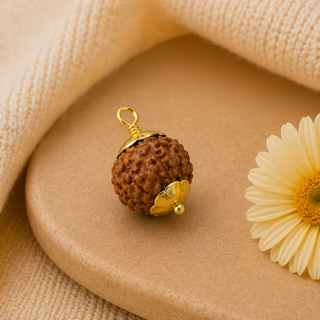 Original 6 Mukhi Rudraksha Nepali – Kartikeya Focus & Discipline Bead (Without Cap / Golden Cap / White Cap)