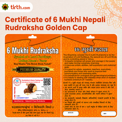 Original 6 Mukhi Rudraksha Nepali – Kartikeya Focus & Discipline Bead (Without Cap / Golden Cap / White Cap)