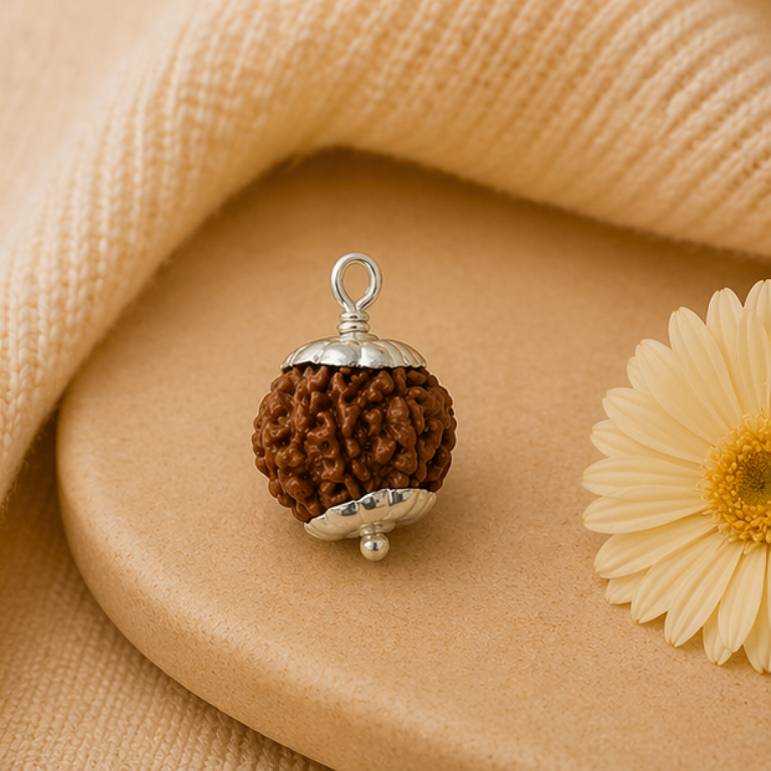 Original 6 Mukhi Rudraksha Nepali – Kartikeya Focus & Discipline Bead (Without Cap / Golden Cap / White Cap)