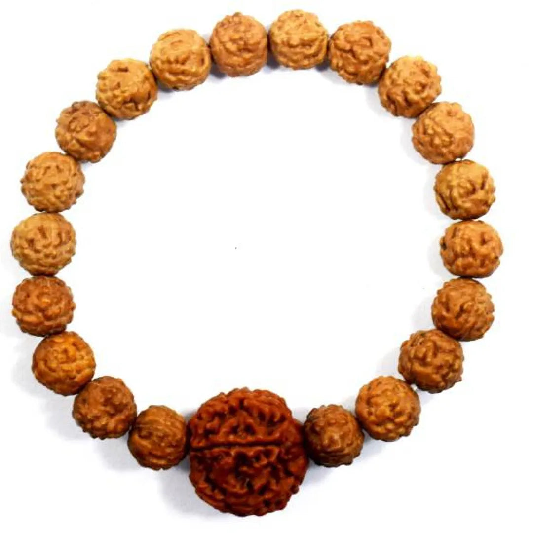 6 Mukhi Rudraksha Bracelet (All Beads Java) – Discipline Bracelet
