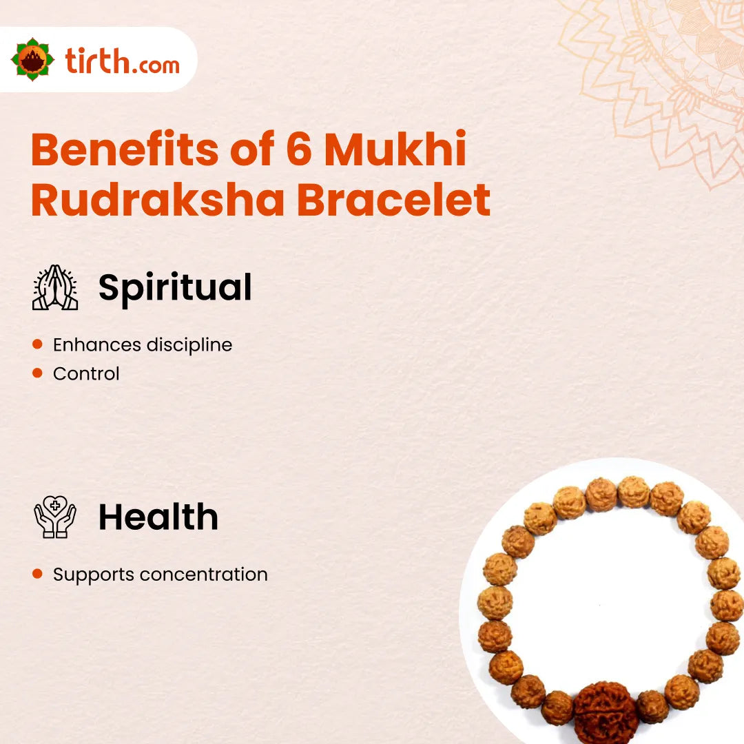6 Mukhi Rudraksha Bracelet (All Beads Java) – Discipline Bracelet