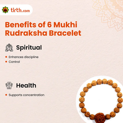 6 Mukhi Rudraksha Bracelet (All Beads Java) – Discipline Bracelet