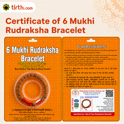 6 Mukhi Rudraksha Bracelet (All Beads Java) – Discipline Bracelet