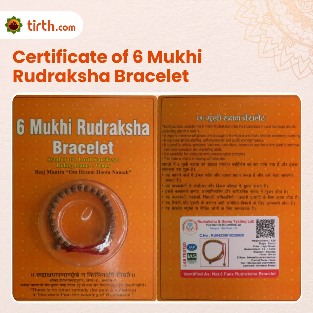 6 Mukhi Rudraksha Bracelet (All Beads Java) – Discipline Bracelet